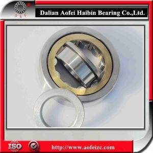 Double Row Full Complement Cylindrical Roller Bearing NUP410M Bearing