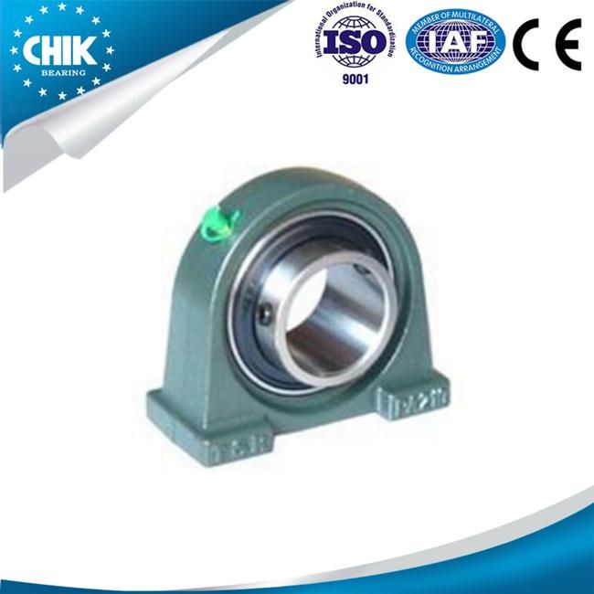 Flange Bracket Unit Cast Steel Pillow Block Bearing Ucpa213 Ucpa214 Ucpa215 Ucpa216 Ucpa217 Ucpa218 Insert Ball Bearings