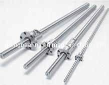 Rolled Thread Ball Screw 2505 2510 for CNC Machine