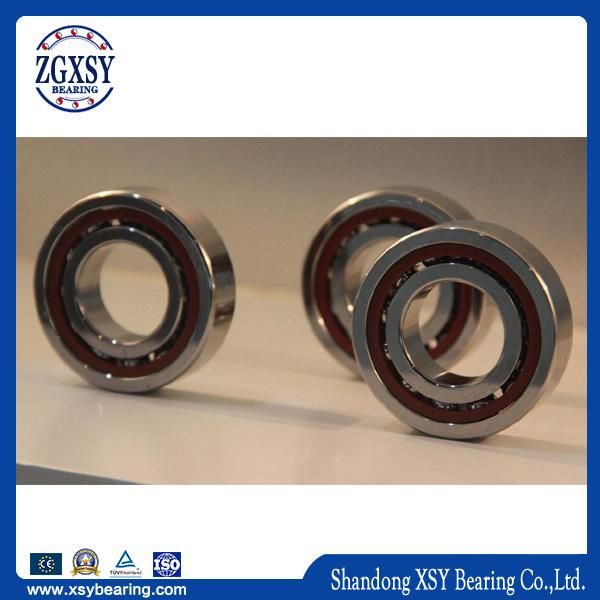 Deep Groove and Angular Contact Ball Bearing