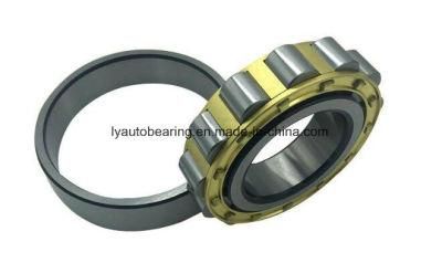 Cylindrical Roller Bearing Nn3060