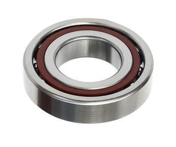 Angular Contact Ball Bearing 760206tn1 30*62*16mm Used in Machine Tool Spindles, High Frequency Motors, Gas Turbines 718 Series 719 Series