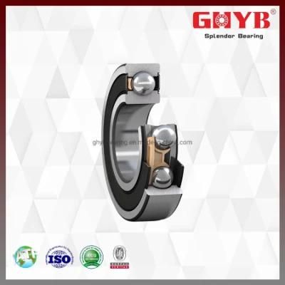 6203zz P6 6203RS Steel Deep Groove Ball Bearings for Auto/Car/Motorcycle Spare Parts