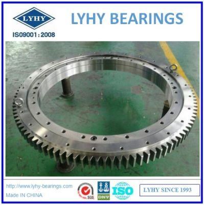 Light Type Bearing Gear Teeth Bearing Slewing Ring Bearing Ball Bearing Rotary Bearing Turntable Bearing (RKS. 061.20.0544)