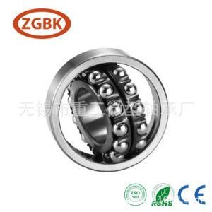 1205 Self Aligning Bearing Ball Bearing