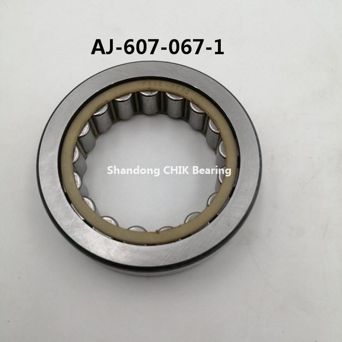 Aj-607-067-1 Auto Bearing Car Bearing Cylindrical Roller Bearing Aj607