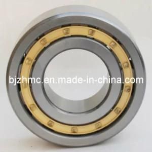 NSK Cylindrical Roller Bearing with Brass Cage NSK Nu230m