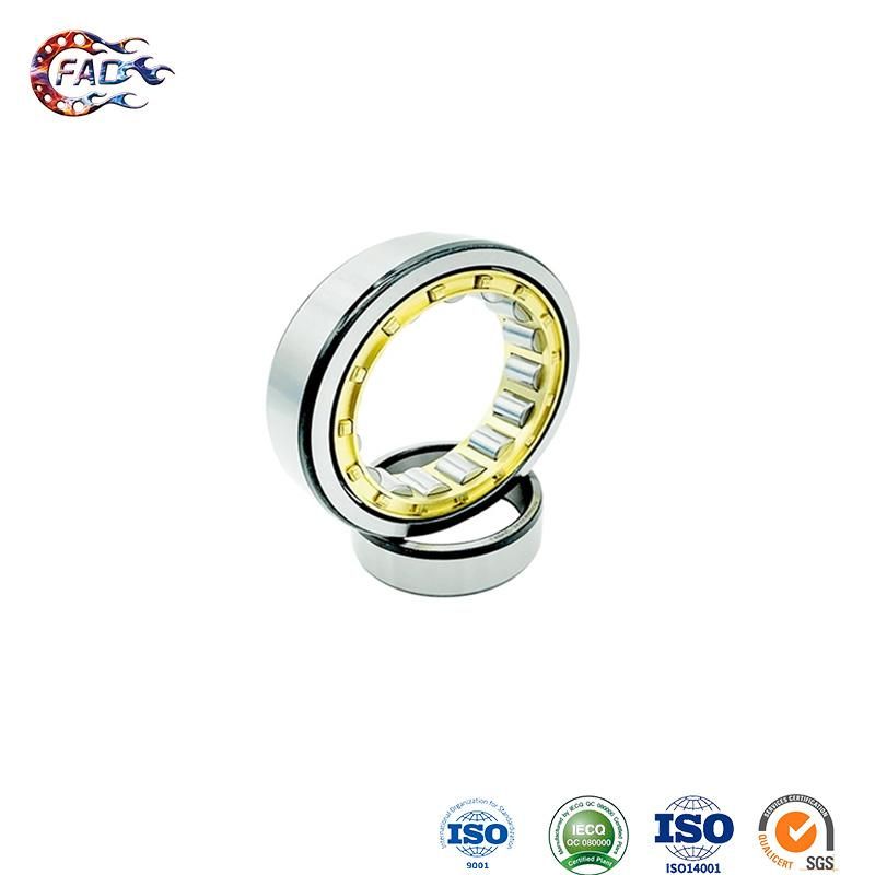 Xinhuo Bearing China Ball Bearing Manufacturer 6000 2RS Nj319em Double Row Cylindrical Roller Bearing