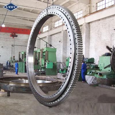 Four-Point Contact Slewing Ring Bearing with out Gears (RKS. 061.30.1904)