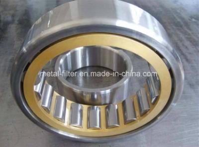 China Supplier Double Row Cylindrical Roller Bearing Nu for Electric Bicycle