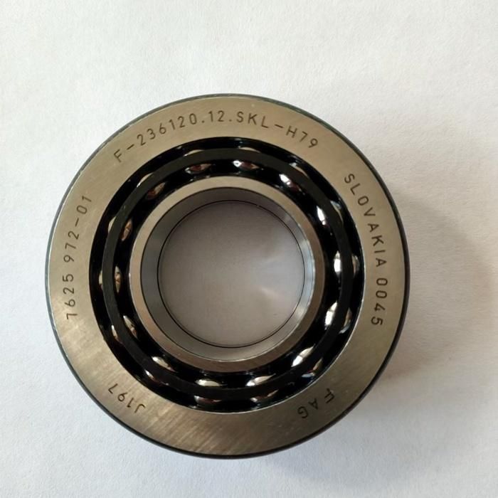 F-122502 F-20134 F-557914 F-560119.02 F-575334 F-234977 Original Angular Contact Ball Bearing Automotive Bearing