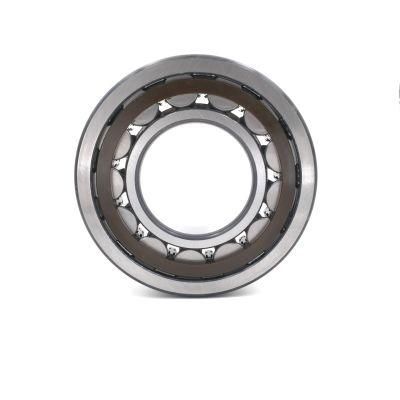 Engine Parts Cylindrical Roller Bearing with Nylon Cage and Brass Cage N221etn1 N221m