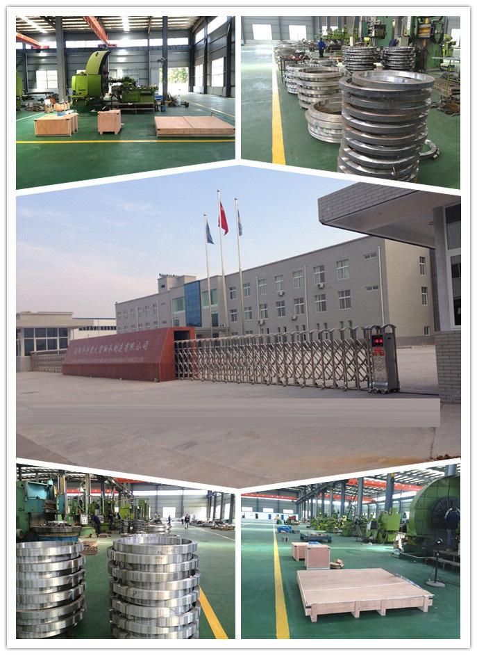 Internal Gear Slewing Bearing Slewing Ring Bearing for Hyundai R320LC-7