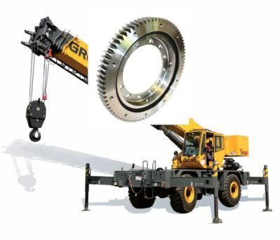Slewing Rings Bearings with 1-Year-Warranty-Period for Telescopic Cranes (HSW. 30.820A)