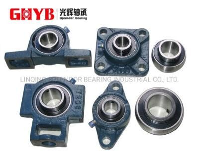 Pillow Block Insert Ball Bearing UCP204 with Cast Housing for Converters