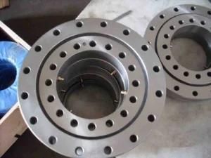 Slewing Bearing