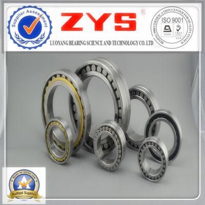 Cylindrical Roller Bearings Nn3064