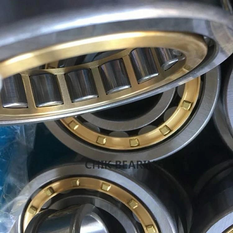 OEM Bearings Cylindrical Roller Bearing Nj407em Nu407em N407em for Sale