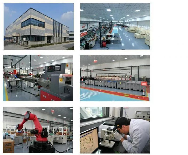 Pillow Block Bearing, Mounted Bearing, Bearing Inserts and Units, 203krr5 R3, R5, F Seal Agricultural Bearing Unit