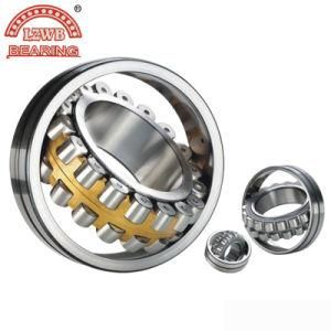 Large Size Spherical Roller Bearing with High Precision (29348em)