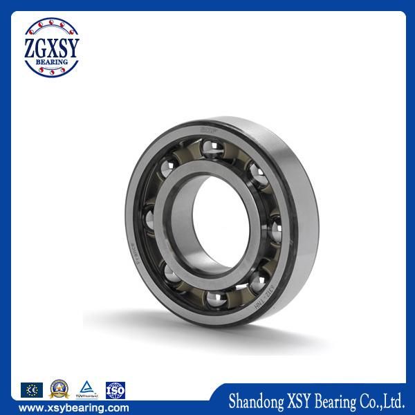 30207 P0/P6 Quality Taper Roller Bearing with Competitive Price