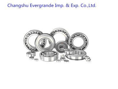 All Kinds of Deep Groove Ball Bearings for Engine Moter, Electric Tools Roof Fan