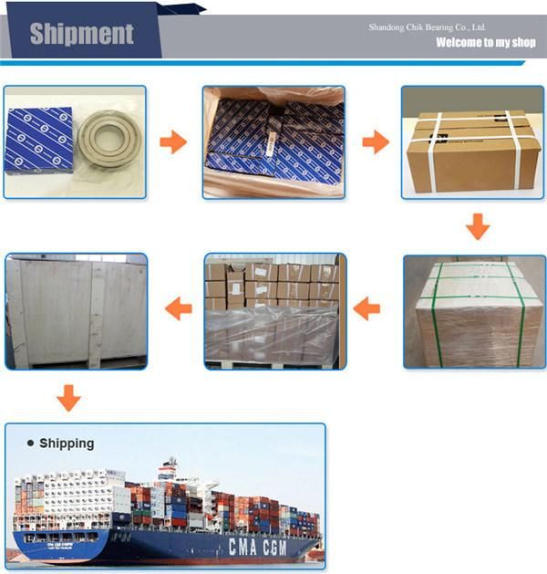 Motor Bearings Deep Groove Ball Single Row and Double Row Type