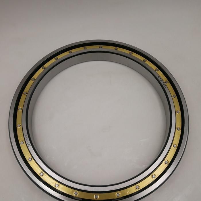 16008 16009 16010 16011 16012 16013 16014 16015zz 2RS Open Radial Deep Groove Ball Bearing