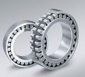 Cylindrical Roller Bearing (1203)