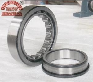 High Speed Low Noise Cylindrical Roller Bearing (NF207)