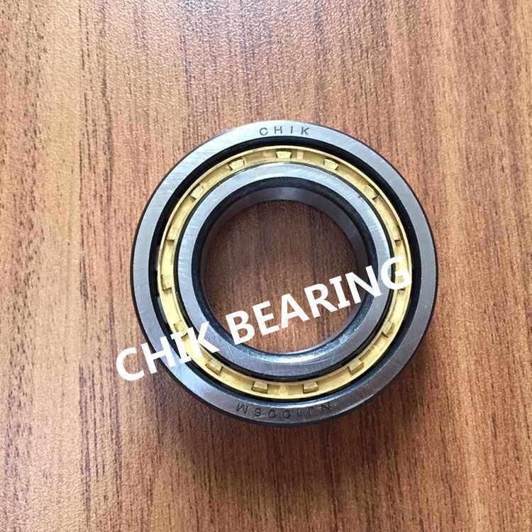 High Precision Double Row Cylindrical Roller Bearings for Machines Nj1006