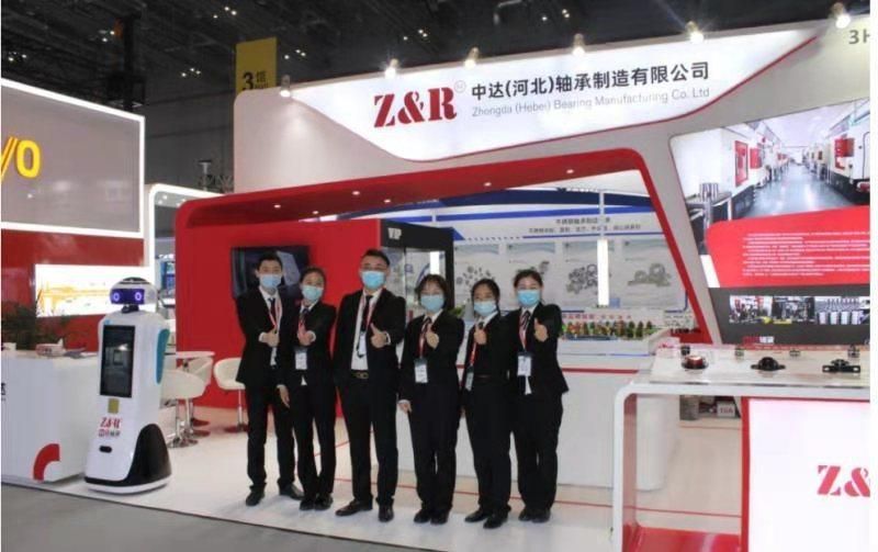 Pillow Block Bearing, Housing Bearing, Bearing Unit, Ucfx06, G10, Zv2, Zv3, P6plus