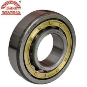 Cylindrical Roller Bearings with The Brass Cage (NJ2316M)