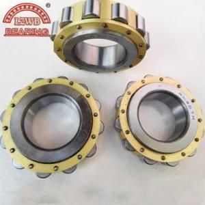 Stable Quality Competitive Price Cylinder Roller Bearing (RN307M)
