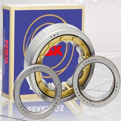 Nu/Nj/Nup/N/NF Series Single Row Cylindrical Roller Bearings N208em N209em N210em N211em N212em N213em N214em N215em N216em N217em