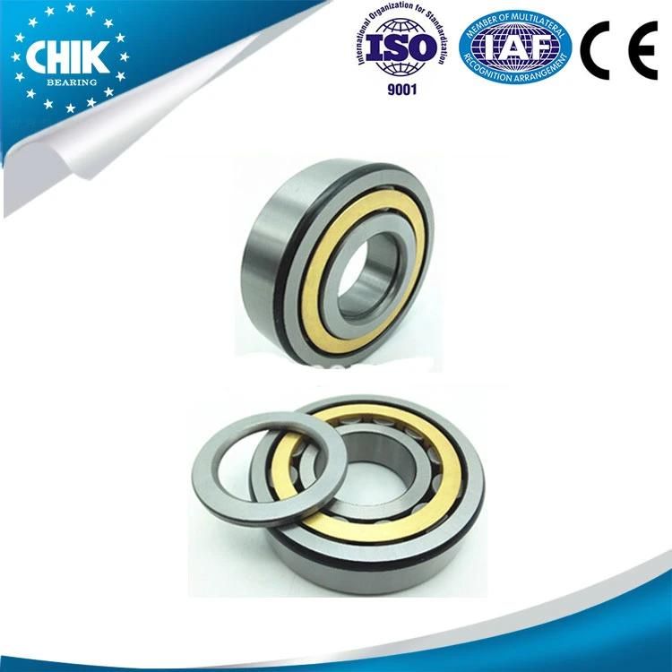 Machine Parts Cylindrical Roller Bearing N1010em N1011em N1012em N1013em N1014em N1015em Auto Spare Parts