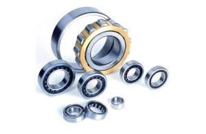 Cylindrical Roller Bearing SKF