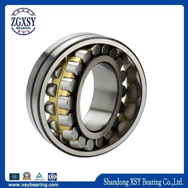 Bearing 1309 Etn9 Self-Aligning Bearing