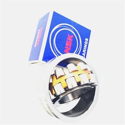 Miniature Self-Aligning Bearing 1218m 2218m 1318m 2318m 1219m 2219m 1319m High Cost Performance