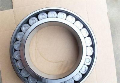 Cylindrical Roller Bearing Double Row Full Complement Bearings SL045008PP