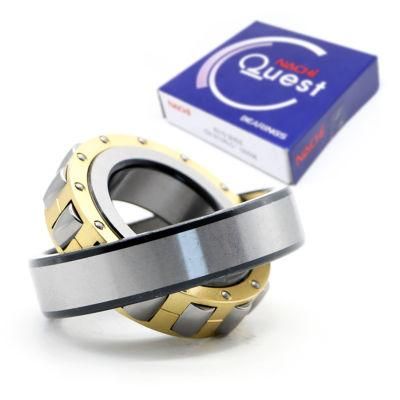 Hot Sale Generator Vibrating Screen Reduction Box Cylindrical Roller Bearing Nj2224m E