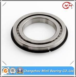 China Suppplier Non-Standard Needle Roller Bearing Bearing