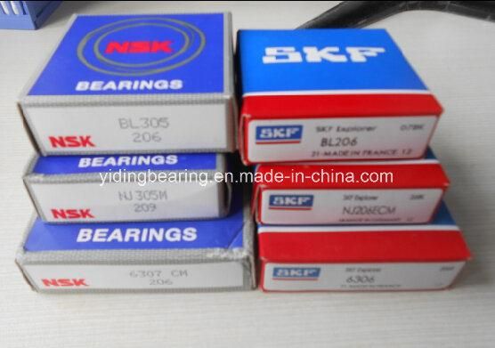 Full Complement Bearing Bl305 Ball Bearing Bl305/Nr in Stock
