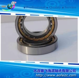Cylindrical Roller Bearing NU1026M for Electric Motors Automobiles