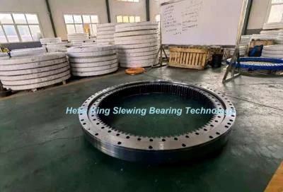 High Quality Dx300lca Turn Table 140109-00010A Slewing Ring