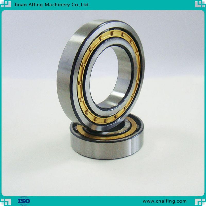 Hot and Cold Processing Program Steel Precision Cylindrical Roller Bearing for Precision Instrument