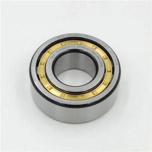 Cylindrical Roller Bearings Nu2209ecj Nu2209ecp Nu2209ecph Nup2209ecp Nup309ecml N309ecp Nj309ecj Nj309ecm Nj309ecp Nj309ecph Nu309ecj Nu309ecm