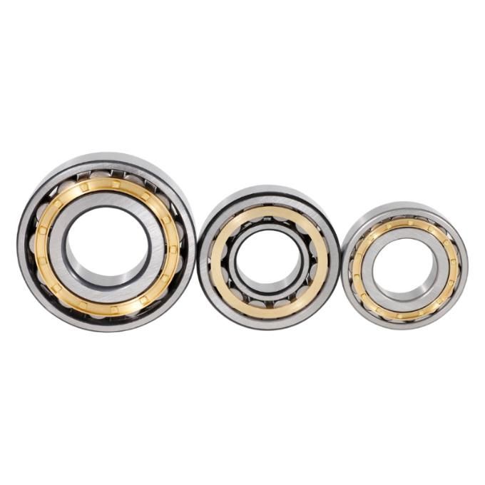 Cylindrical Roller Bearing NF204 Nj204 Nu204 Apply for Large&Medium-Sized Electric Motor, Engine Vehicle, Machine Tool Spindle etc, OEM Service, SGS&ISO9001
