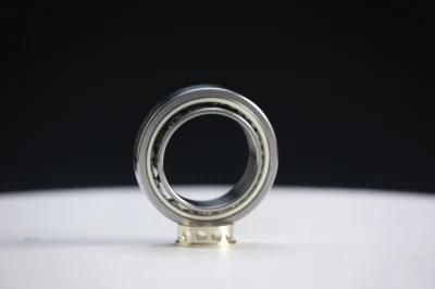 China Factory Bearing Steel Cylindrical Roller Bearing Auto Bearing Nn3038