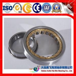 A&F Bearing Cylindrical Roller Bearing /Roller Bearings ID105*OD190*W36 with Steel cage N221EM